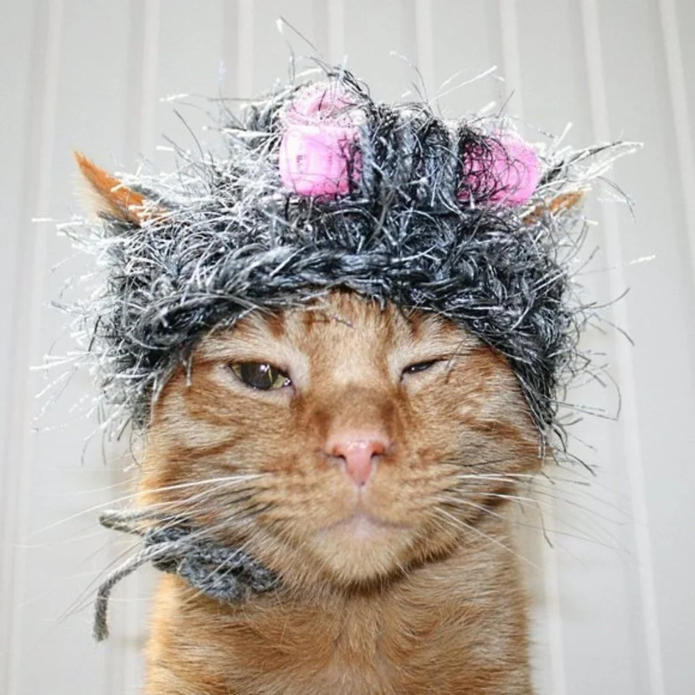 HAND CRAFTED Granny Hair Curlers Cat Hat Crochet Gray Hairy Wig Costume